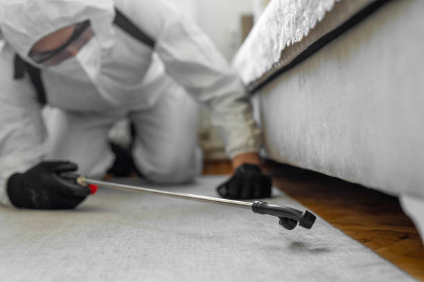 Professional Ant Control technician working in Newport, WA